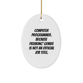 Funny Computer Programmer Oval Ornament Gifts from Friends, Coworkers, Family - 'Computer Programmer Because Freaking genius Is Not An Official Job Title' Oval Decoration for Men, Women, Office, Home - Image 1